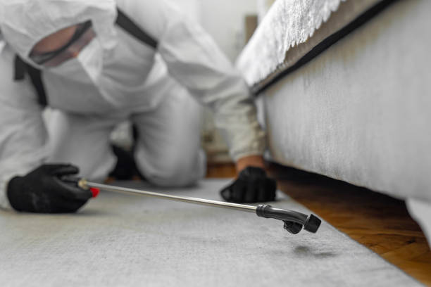 Professional Bed Bug Control technician working in Spurgeon, TN