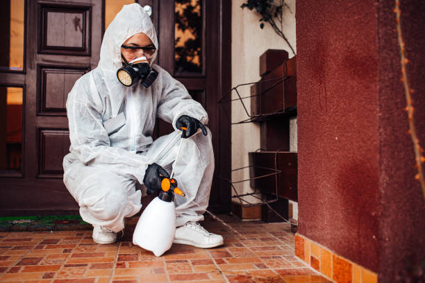 Reliable Bed Bug Control contractor in Spurgeon, TN by Nex Pest Control